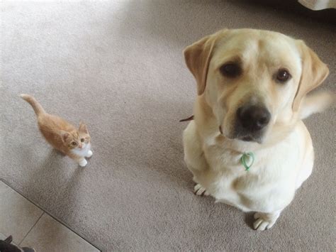I went home at 14:30. "Do we have to keep it?" : aww