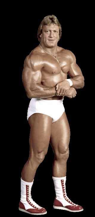 Wonderful moniker by proving himself every night in a wwf ring. Wrestler Paul Orndorff (Paul Orndorff) - Wiki, Profile | WWE Wrestling Profiles