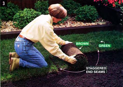 Maybe you would like to learn more about one of these? How to Install Sod Correctly - 5 Tools, 6 Steps, & 7 Tips ...