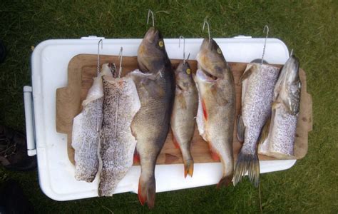 Díky more za pozitivní koment brácho kámo. ÅSNEN-TROLLING 2013 - Die Schweden-Angler... Smaland Mörrum