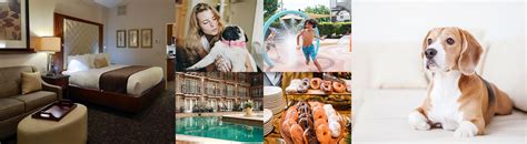 The hotel was convenient to stores and activities, and the staff was efficient. Pet Friendly Hotels in Lancaster, PA