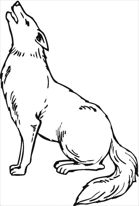 Le seuil nombre de pages: Coyote Coloring Pages - ColoringBay