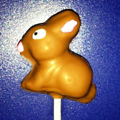 Given that a regular mix still requires adding ingredients, measuring and mixing, it only takes a few more babycakes has their instruction manual, with recipes (previously available on their website). Cake Pop Mold - Bunny