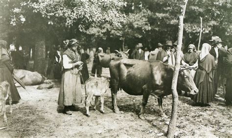 Así era la televisión que cambió nuestra vida en los años 70, los 80, los 90 y en el 2000 Memorias de Compostela: Feria en la "carballeira" de Santa ...