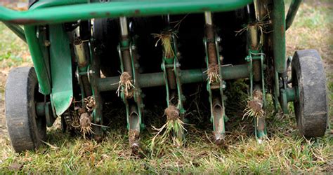 A thatch layer of 1/2 inch can work hand in hand with these soil requirements. 8 Steps for Successful Fall Lawn Renovation | Patuxent Nursery