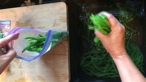 Blanching directions wash, drain, sort, trim and cut vegetables. Blanching and Freezing Green Beans - YouTube