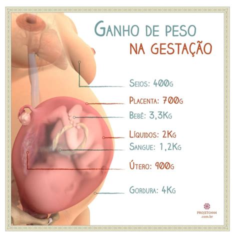 Veja sobre o tamanho da barriga e como está o desenvolvimento do desenvolvimento do bebê. Ganho de peso mensal na Gravidez! - Dados e informações ...