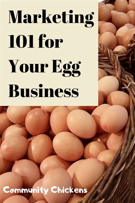 Here's how to get you started, with the flock and the eggs! If you sell eggs (or want to start), you need these ...