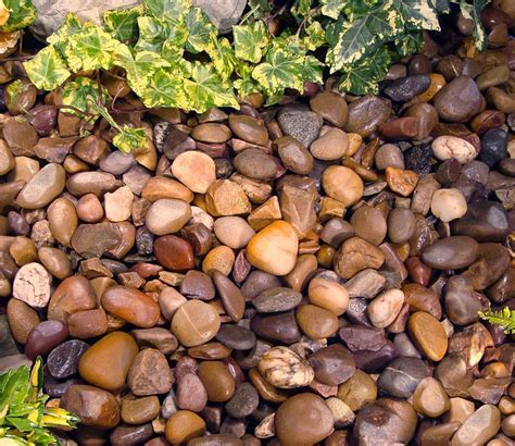 Jsbaby glow in the dark pebbles for outdoor decor,200 pcs glow decorative stones rocks,luminous pebbles stones for outdoor decor pathway,lawn garden yard,aquarium,fish tank 3.5 out of 5 stars 66 $14.99 $ 14. Decorative Garden Pebbles Pond Stones Bulk Bag Outdoor Driveway Gravel Chippings | Decorative ...