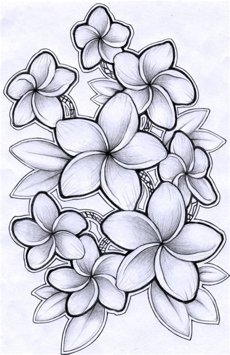 You instantly recognize a traditional japanese tattoo on sight because they are so unique. plumeria | Plumeria tattoo, Hawaiian flower drawing ...