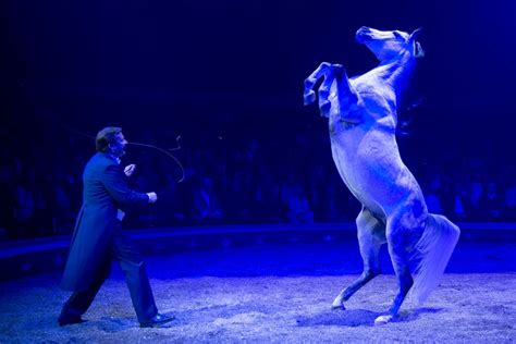 Kleines abend video vom gastspiel in hannover 2019 ! Premierenfeier im Circus Knie: Familie, Pferde und ...