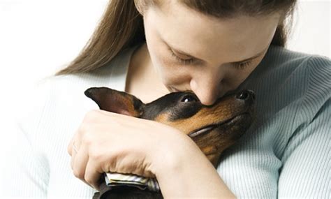 It's often the sign of a gastrointestinal tumor. Digestive Tract Intestinal Epithelial Tumors | VCA Animal ...