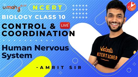 Central nervous system diagram class 10. Control and Coordination L1 | Human Nervous System | CBSE ...