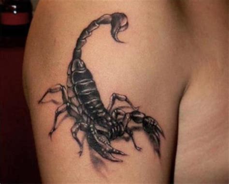 We did not find results for: Scorpion Tattoo on Arm - Scorpion Tattoos | Scorpion tattoo, Tattoos, Stylish tattoo