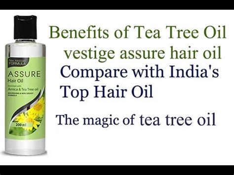 Find here arnica hair oil dealers, retailers, stores & distributors. vestige assure hair oil |tea tree oil price benefits ...