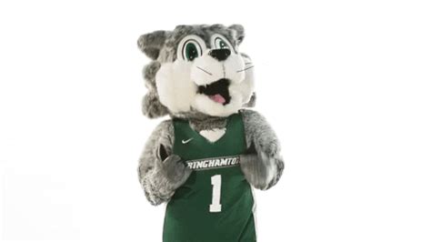 We did not find results for: Suny Binghamton GIF by Binghamton University - Find ...