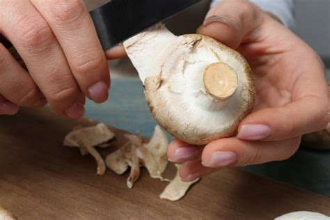 Als text bezeichnet man jedes stck zusammenhngender rede angefangen mit einer uerung im alltag bis zu einer. Champignons trocknen » So wird's gemacht