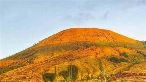 We did not find results for: Teka-teki Belum Terjawab, Pendaki Hilang 31 Jam di Gunung Guntur dan Ditemukan Nyaris Telanjang ...