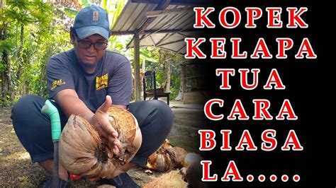 Kalo mau buat passport emg harus pagi2. CARA KOPEK KELAPA TUA | NAK BUAT SANTAN - YouTube