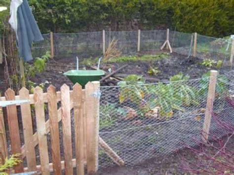 Rabbits will chew through it. Rabbit proof fencing around vegetable patch - YouTube