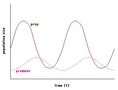 These are very strong factors because as well as prey population falling disease works it way up the food chain to predators. Population Dynamics Test Review - Mr. Siemianowski ...