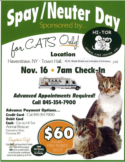 Generally, spayed and neutered pets live. Spay/Neuter Cat Day | The Village of Haverstraw New York