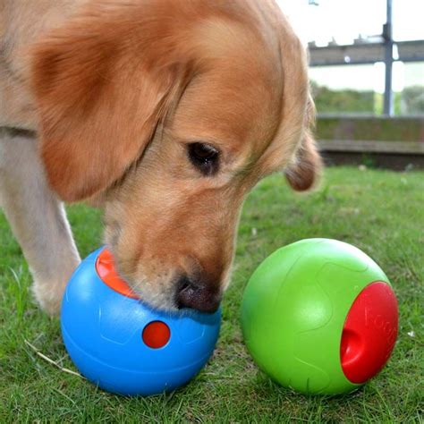 Dog puzzle toy improve intelligence food dispenser interactive pets feeder. Foobler Smart Puzzle Feeder for Dogs - Ebay - Pickture