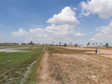 Ls models ls land issue 04 fairyland rar the wire. LS-TH-20006 Land For Sale ដីលក់ក្រោយផ្សារបែកចាន តម្លៃ 55 ...