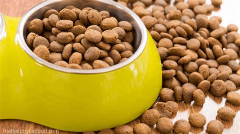 Learning how to make cat food is fun, and it's very health facts about fat cats. Best Dry Cat Food For Urinary Tract Health Reviews & Buyer ...