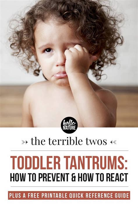 If you're looking for the best parenting classes or online parenting classes, we rounded up the top parenting classes in every state. Toddler Tantrums: How to Prevent, How to React and When to ...