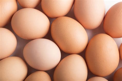 (幺樂団カァニバル!) ふあん亭 (フラリ、米泥棒) これで乱心★魔界神 (東方project) 中国翻訳. 有限会社 紫波鶏業たまご家