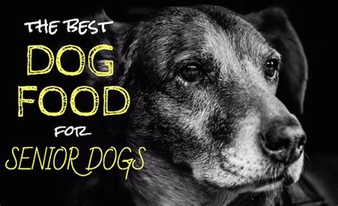 I'll share some of the best dog food products for pugs below in a bit. 4 Best Dog Food For Senior Dogs: Our Top Picks