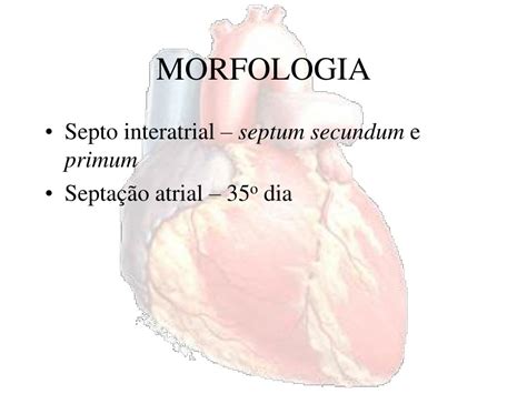 An ostium secundum asd is a hole in the center of the atrial septum.1. PPT - COMUNICAÇÃO INTERATRIAL PowerPoint Presentation ...