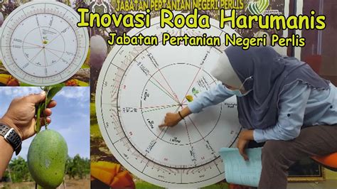 1,453 likes · 15 talking about this · 242 were here. Inovasi Roda Harumanis oleh Jabatan Pertanian Negeri ...