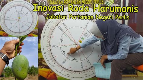 Laporan tahunan jabatan pertanian negeri johor. Inovasi Roda Harumanis oleh Jabatan Pertanian Negeri ...