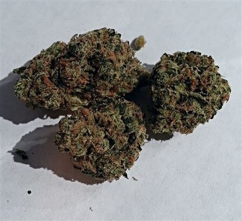 Похожие запросы для candy apple kush strain info. Sour Candy Apple from SAPA Medical Marijuana Review | OC ...