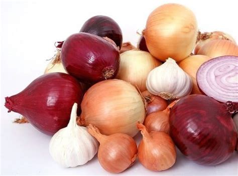 Just add them to a pan you're cooking your other veggies in along with some oil or sauce and cook in most cases, raw zucchini is safe to eat with little to no side effects. How long does onion last? • Sow Small Garden