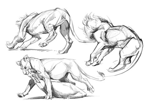 Maybe you would like to learn more about one of these? Lions (because they are such big, stocky rectangles) are very difficult for me to draw - so I'm ...