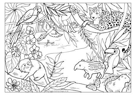 Thus the article rainforest animals coloring pages pdf. This lovely rainforest colouring page has lots of detail ...