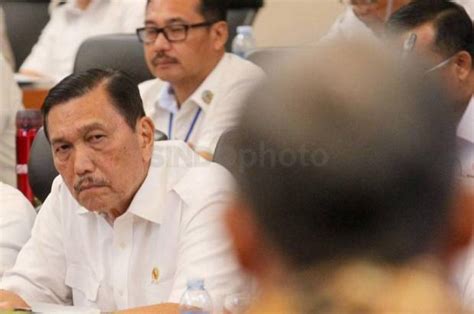 Ada promo alkes pt roche indonesia. Gak Doyan Produk Lokal, Luhut Soroti Besarnya Biaya Impor ...