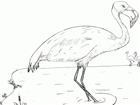 Maybe you would like to learn more about one of these? Birthday Flamingo Coloring Pages - Coloring Home