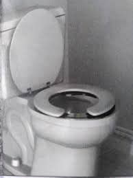 Either the cistern needs to be raised so that the front edge of the seat doesn't touch the lid of the cistern, and thus can go further back, or the pan needs to be moved forwards so that the seat will lean further back. Swivel Toilet Seat | Toilet, Toilet seat, Seating