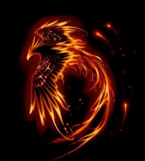 Maybe you would like to learn more about one of these? Phoenix | Tattoo-Bewertung für Tattoos, Vorlagen und ...