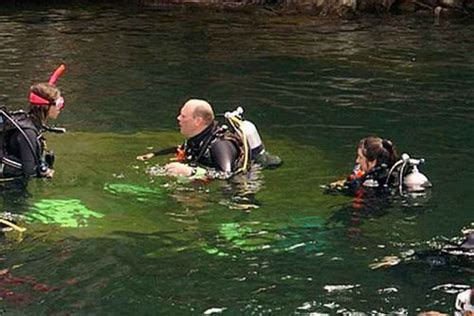 Summersville lake in nicholas county. Diving in Summersville Lake | Summersville lake, Lake ...