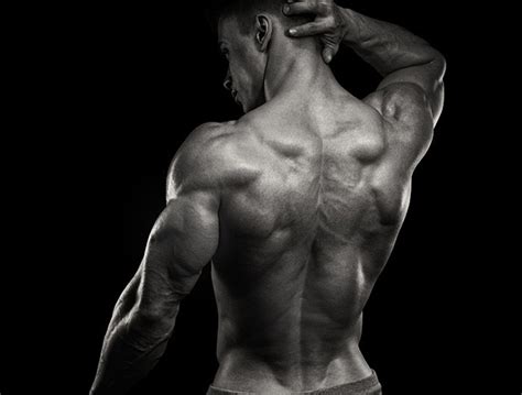 Broadly considered, human muscle—like the muscles of all vertebrates—is often divided into striated muscle. How to get the V-Shape, shoulder and back muscles - Men's ...