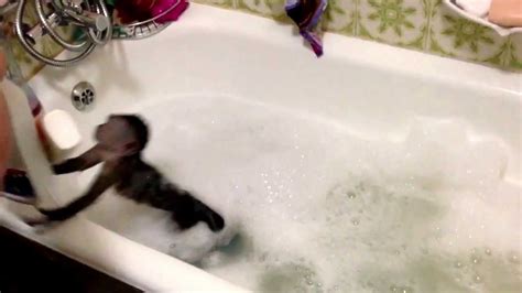 You can add some aromatherapy oils to your bathwater to help you relax and relieve some of the edginess of your emotional state. capuchin monkey melanion taking a bath - YouTube