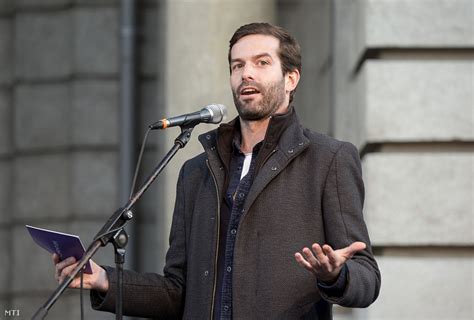A momentum elnöke a szombathelyi helyzetről is beszélt interjúnkban. Index - Belföld - Fekete-Győr az előválasztó-korú ...