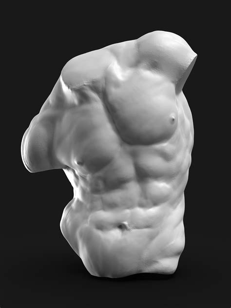 Shaded drawing of torso anatomy. ArtStation - Anatomy study- Male Torso, Riccardo Meneghello