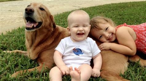 Island pet veterinary hospital provides compassionate, quality veterinary care at our clinic, located in cape carteret at 209 wb mclean drive. Veterinarian in Merritt Island, FL | Courtenay Animal Hospital