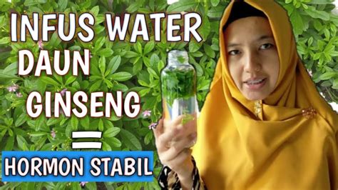 Resep detox menggunakan infused water mulai dari rumah. JSR dr Zaidul Akbar || Infused water sayur daun gingseng enyakkk - YouTube